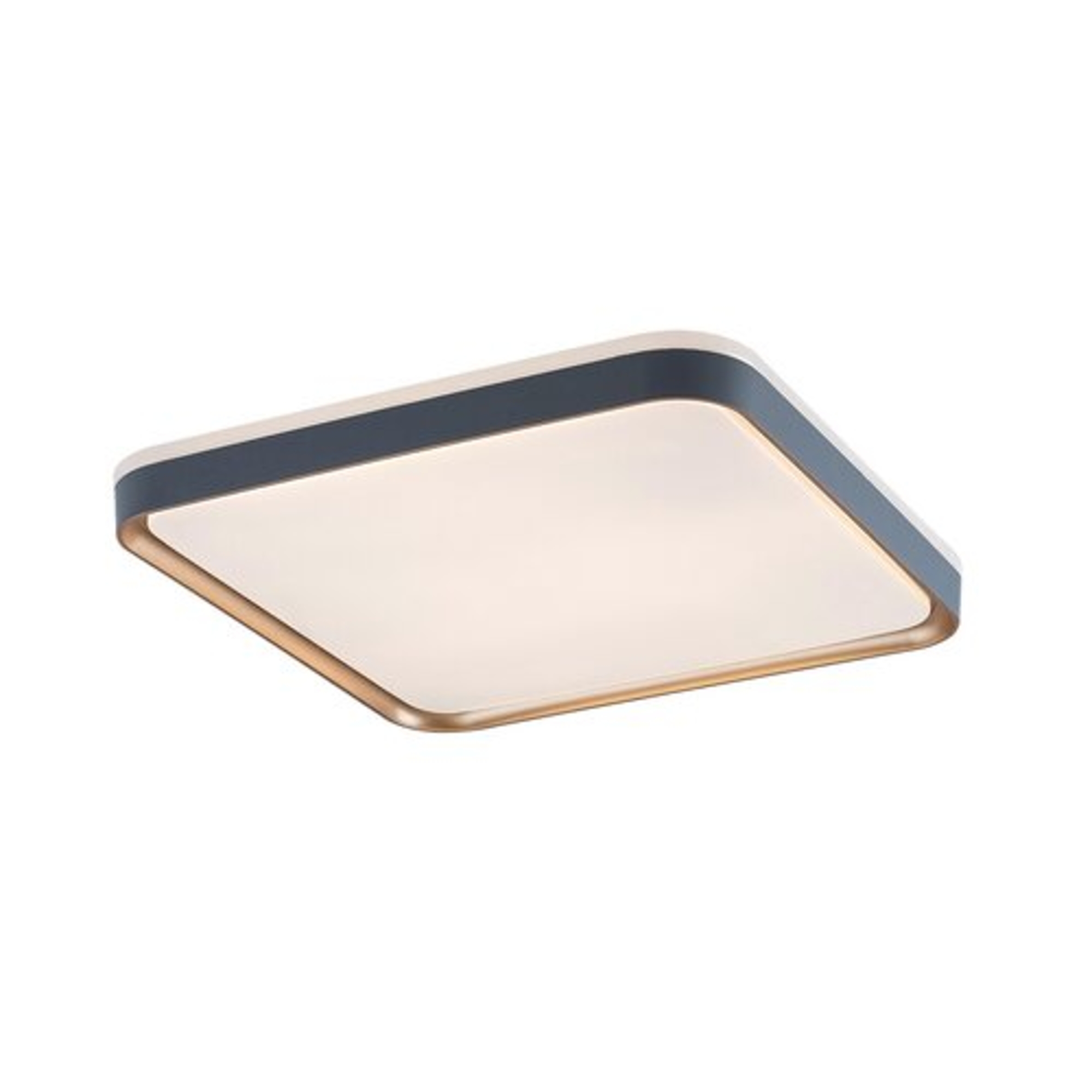 Rábalux 71029 Liatris