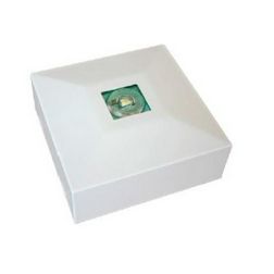 LED biztonsági világító állandó/készenléti  mennyezet 3W AC CL-313/R SLAVE/CON/MB ASM-Security - 300028