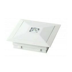 LED biztonsági világító készenléti folyosó 3W 220-240V AC CL-313 C/F SLAVE/CON/MB ASM-Security - 300016